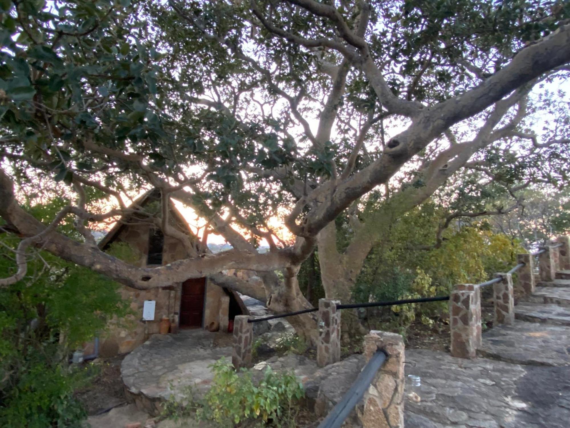 Villa Big Cave Camp Matopos Exterior foto